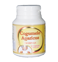 Cogumelo Agaricus